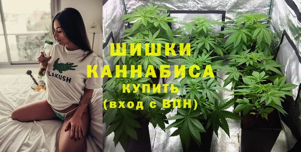стафф Коряжма