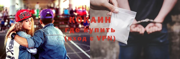 стафф Коряжма