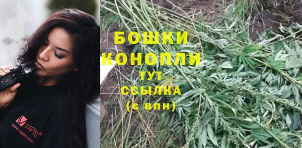 стафф Коряжма