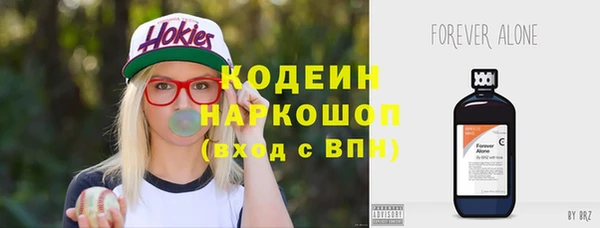 мдпв Костерёво