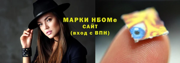 стафф Коряжма