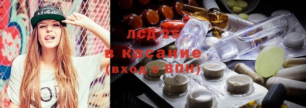 мдпв Костерёво