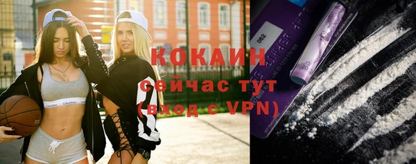 стафф Коряжма