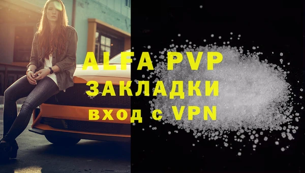 индика Щучье